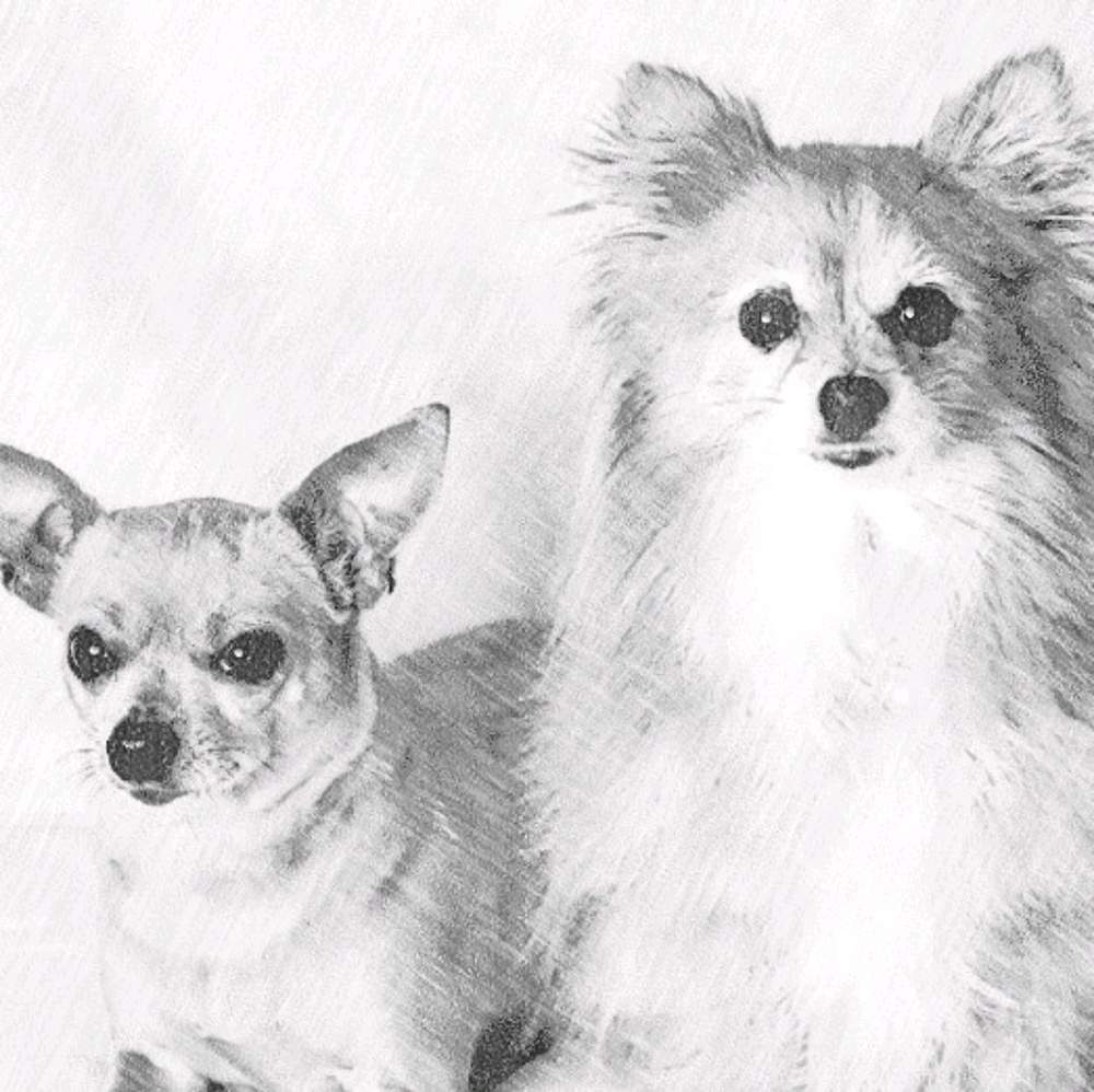 Meet your Posher, Crystele